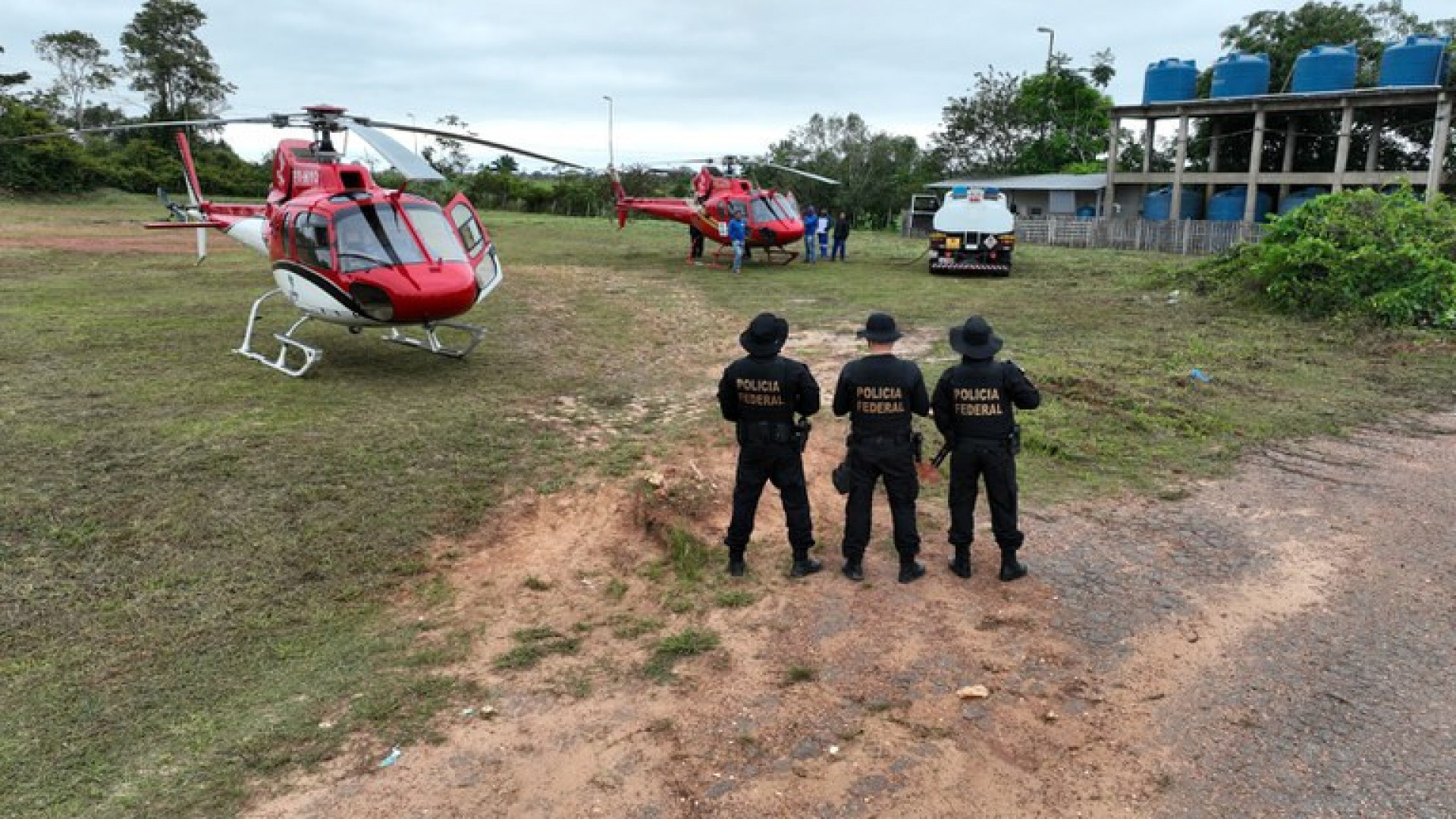 Operação visa o desmatamento ilegal e extração irregular de madeira na região - Divulgação/Polícia Federal