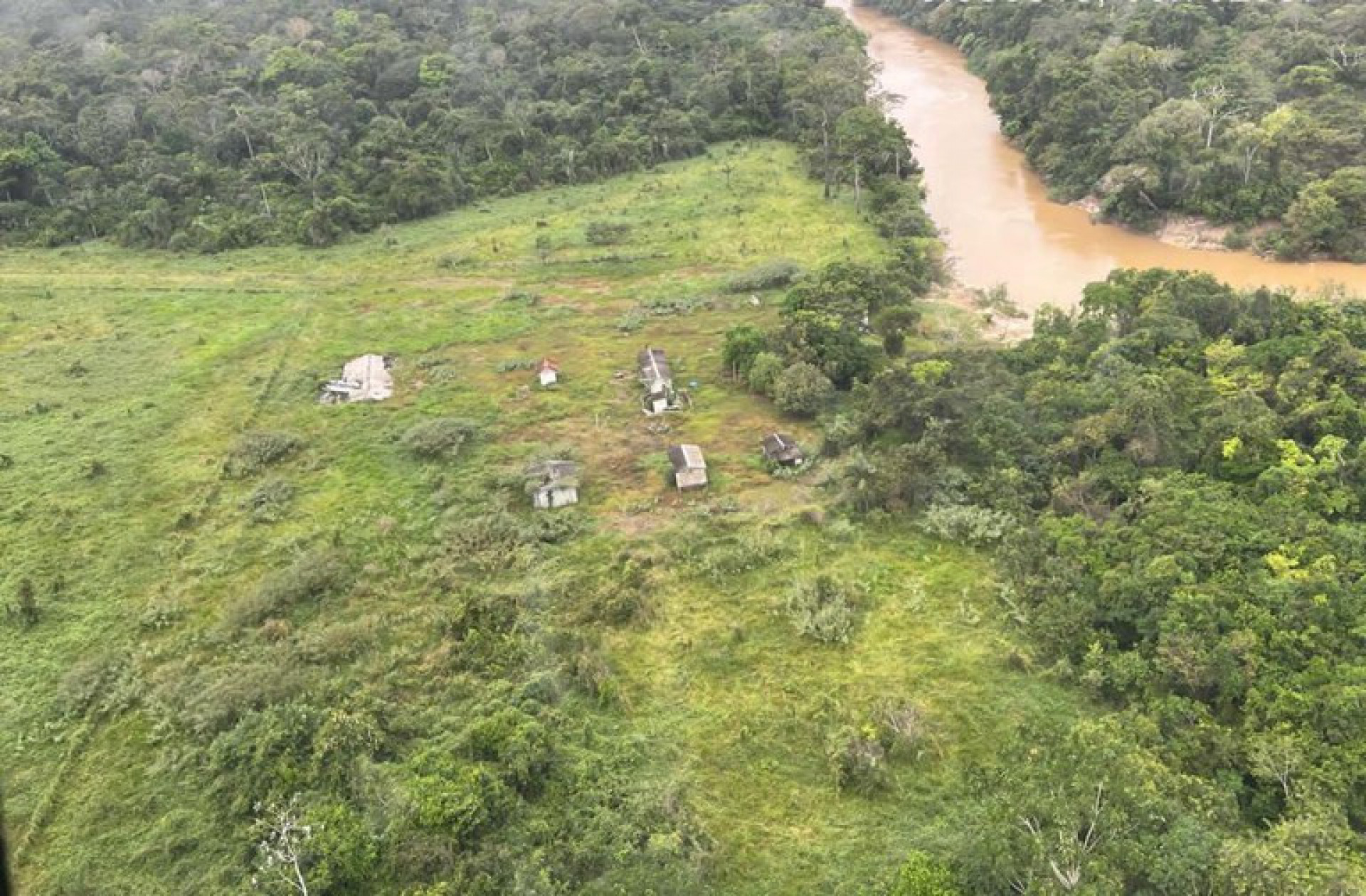 Operação ocorre na Floresta Nacional do Iquiri - Divulgação/Polícia Federal