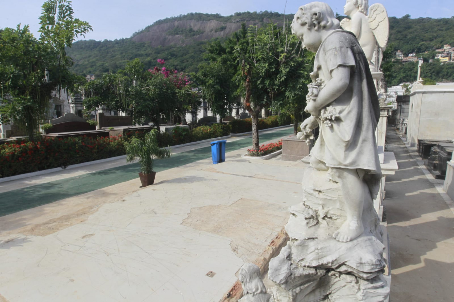 Estabelecimento havia sido construído entre os jazigos do cemitério - Reginaldo Pimenta / Agência O Dia