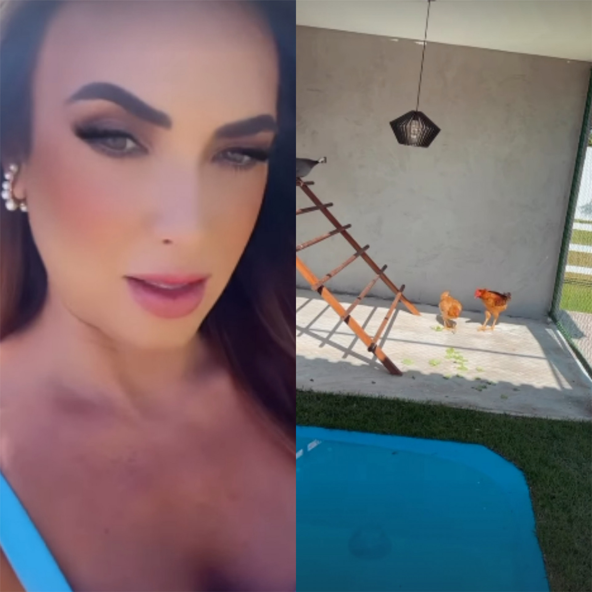Nicole Bahls mostra galinheiro de luxo em mansão no Rio - Reprodução/Instagram