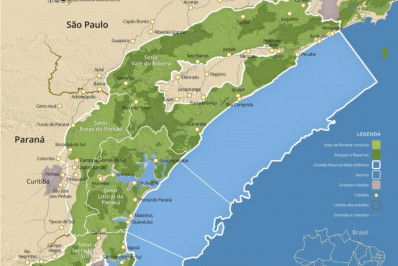 O lucro com a Produção de Natureza: projetos de Economia Regenerativa