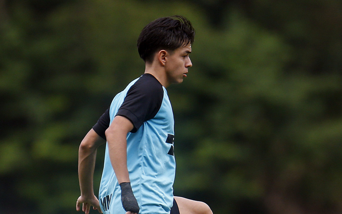 Mat&iacute;as Segovia se machucou durante o treino do Botafogo