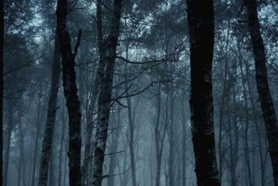 Barra Mansa vai receber exposição 'Natureza Viva' na próxima quarta-feira (21)