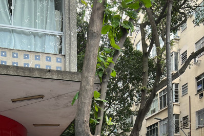 Homem é preso por suspeita de racismo durante tumulto na Zona Sul