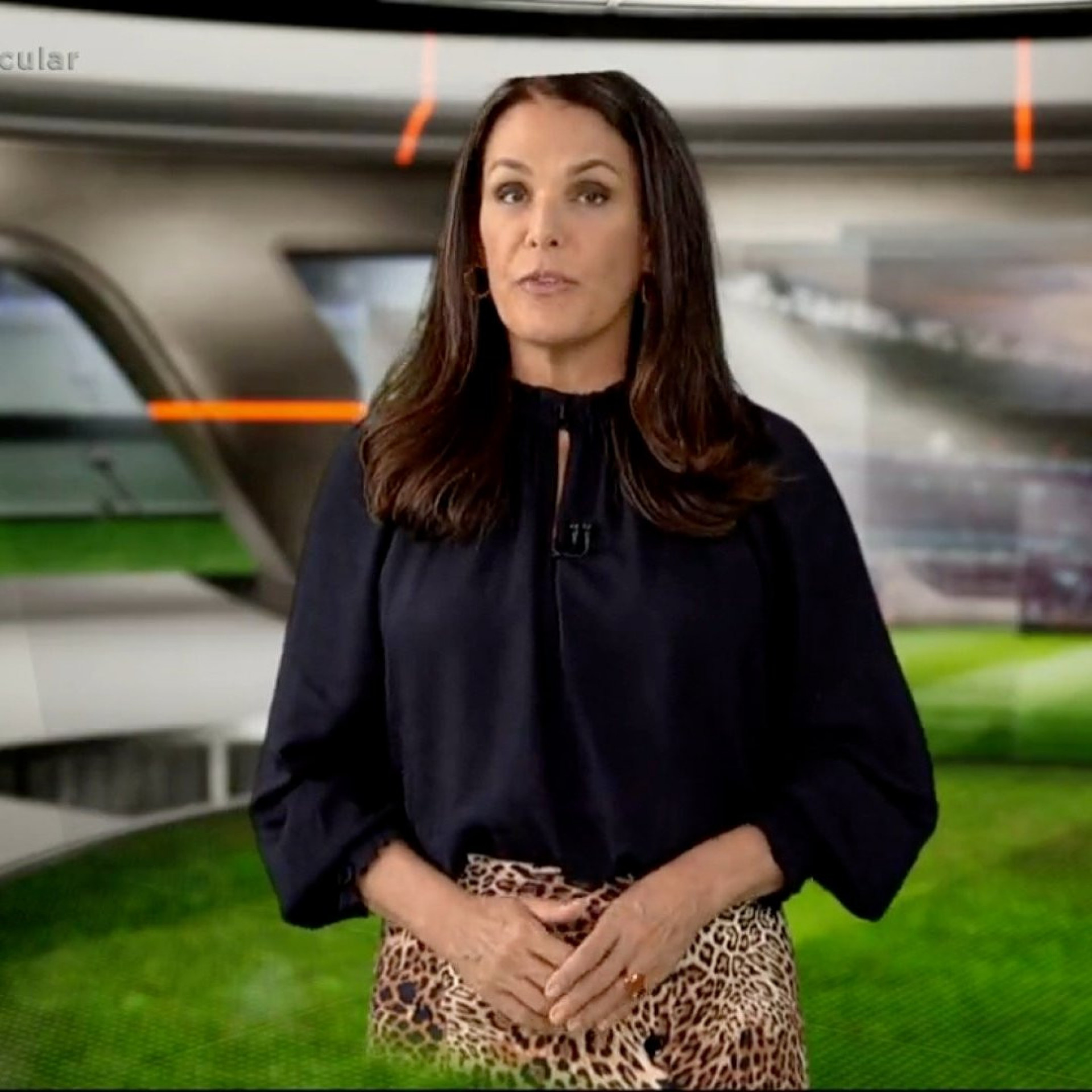 Carolina Ferraz tem a cabeça 'cortada' pelo chroma key no 'Domingo Espetacular' - Reprodução