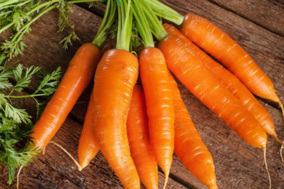 Cenoura e mamão têm a maior queda média de preço no atacado em maio, diz Conab