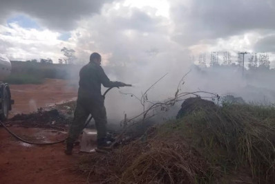 Incidência de queimadas deixa Ordem Pública atenta e mobiliza Guarda Ambiental