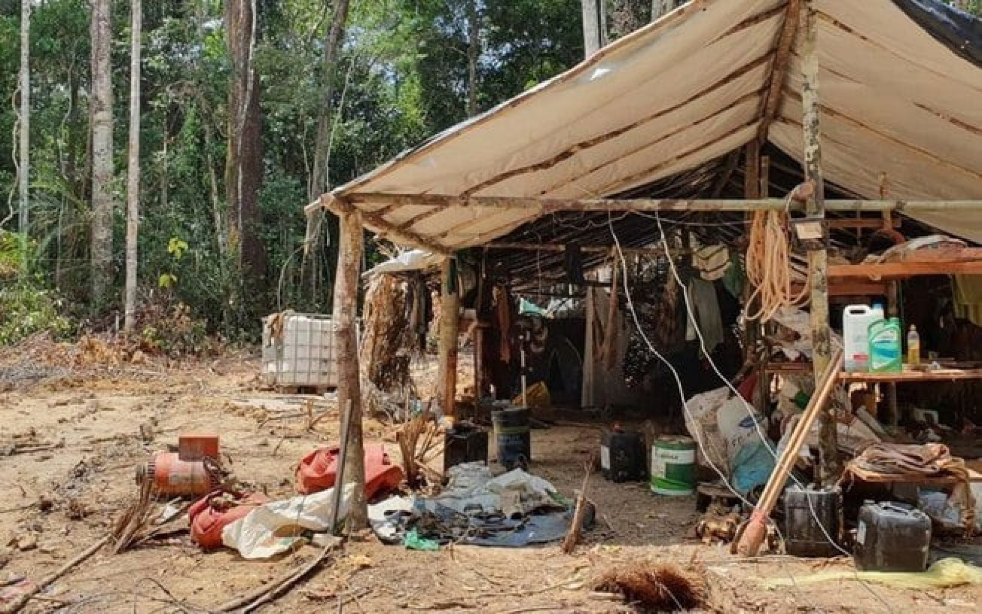 Operação Libertação iniciará uma nova fase de atuação na Terra Indígena Yanomami - Agência Brasil