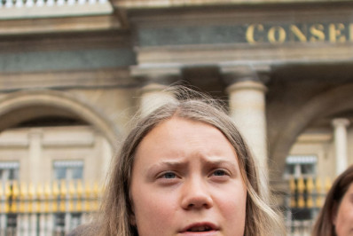 Greta Thunberg tece críticas à dissolução de grupo ecologista radical na França