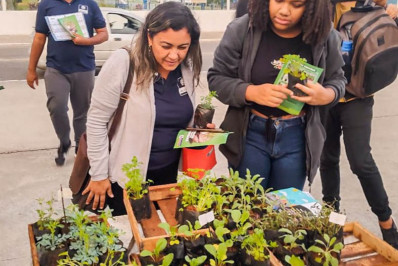 Dia Mundial do Meio Ambiente teve mudas distribuídas na Vila Olímpica de Mesquita