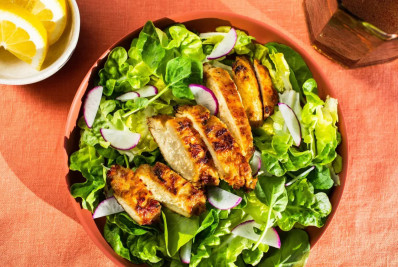 EUA aprova venda de carne de frango cultivada em laboratório