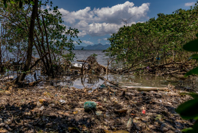 Ação de limpeza na Baía de Guanabara mobiliza pescadores e catadores