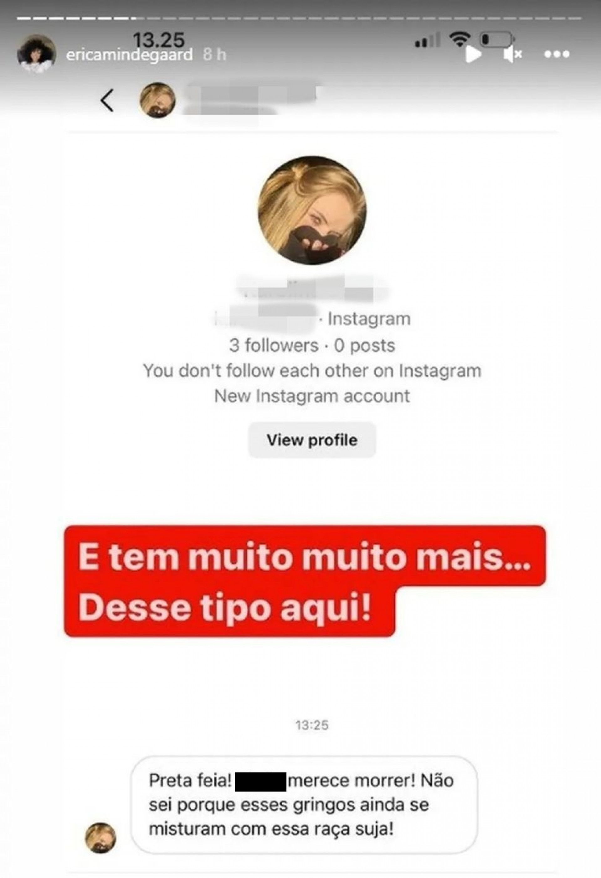 Ataque racista recebido pela brasileira Erica Mindegaard - Reprodução / Instagram