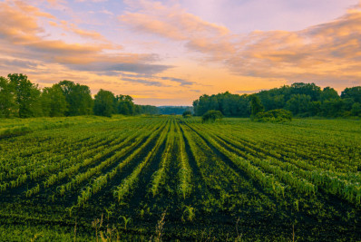 Programa Quintais Produtivos fortalece autonomia de mulheres do campo