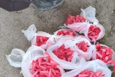 Homem é detido com drogas após tentar subornar policiais em Cabo Frio