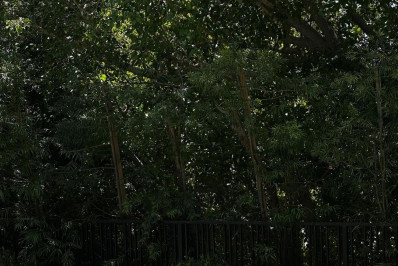 Luísa Sonza faz topless em Los Angeles, nos Estados Unidos