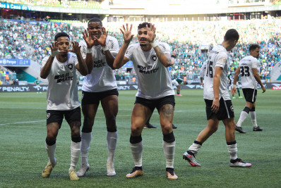 Segue O Líder! Botafogo Vence O Palmeiras E Aumenta Vantagem Na Ponta ...