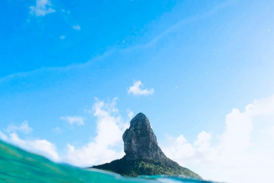 Benefícios do Contato com a Natureza: Uma Terapia para a Saúde Mental e Física