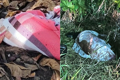 Polícia Civil investiga série de mortes de cães em Cabo Frio