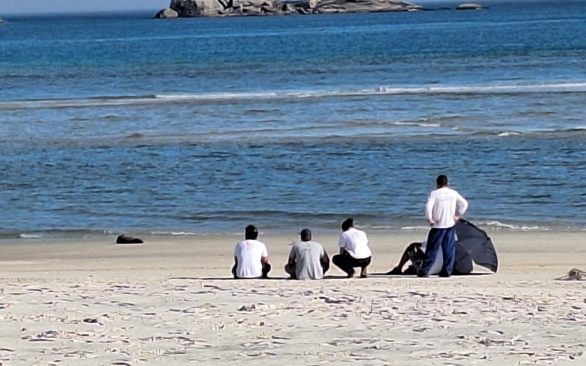 Um grupo de bi&oacute;logos acompanhou a dist&acirc;ncia a movimenta&ccedil;&atilde;o do animal