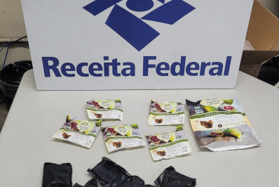 Receita Federal apreende mais de R$ 179 mil em haxixe no Aeroporto do Galeão