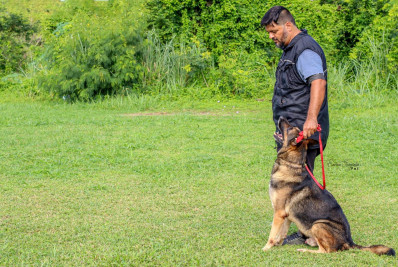 Secretaria de Proteção Animal de Maricá promove segunda turma do programa ‘Socializa_C@O’