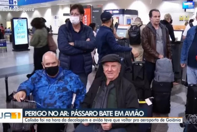 Avião com músicos e técnicos de Roberto Carlos faz pouso após acidente com pássaro; saiba mais