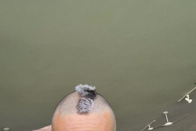 Vitão recebe críticas ao aparecer com visual novo: 'Difícil defender'