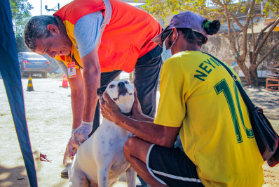 Belford Roxo vacina 1.638 animais contra raiva em mais três bairros