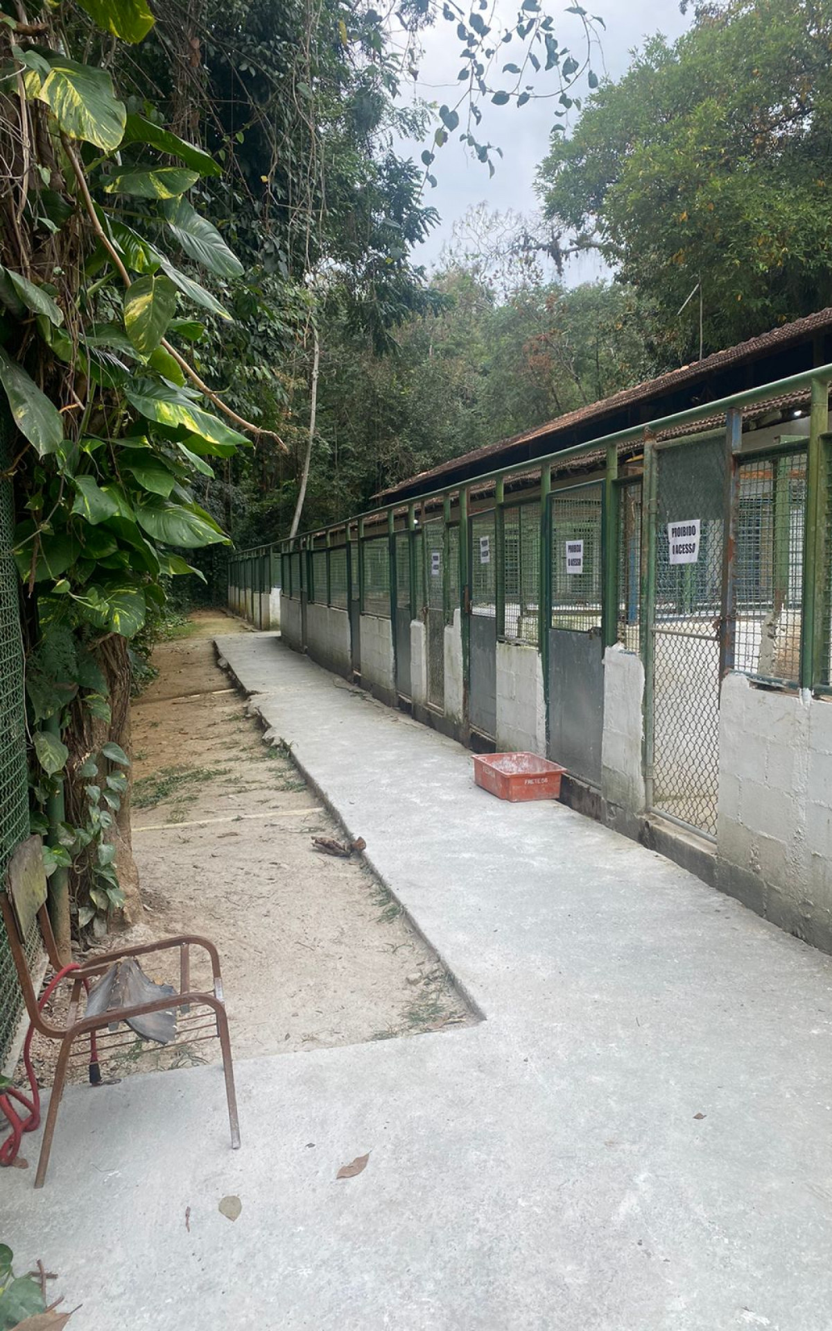 Locais onde ficam localizados os animais na Fazenda Modelo - Divulgação