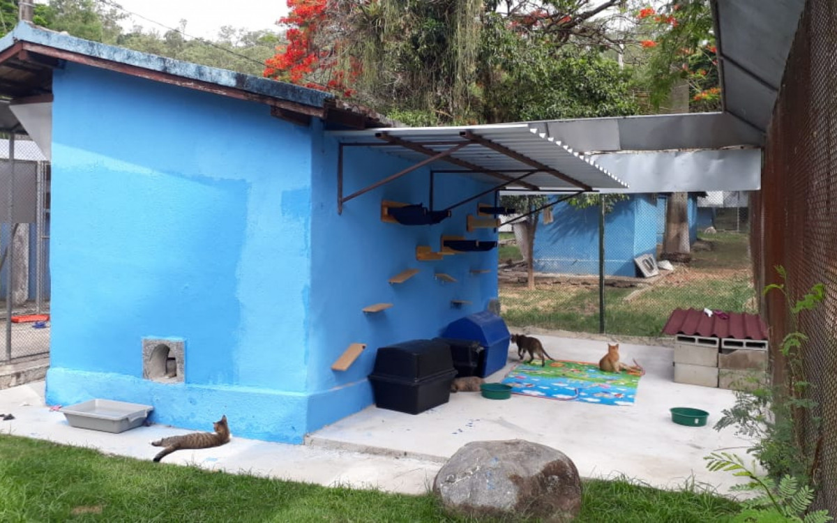 Locais onde ficam localizados os animais na Fazenda Modelo - Divulgação/Prefeitura do Rio