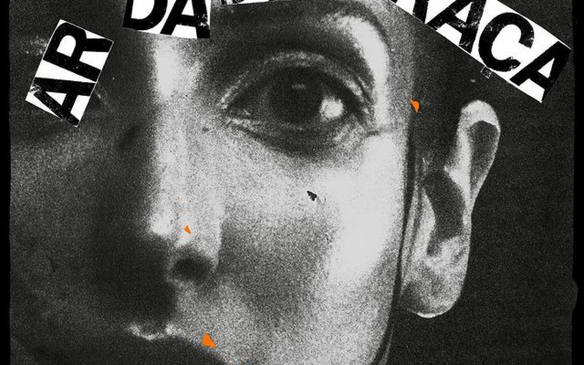 Clarice Falc&atilde;o 