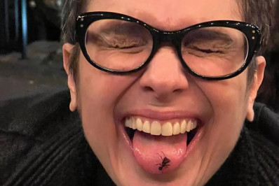 Sandra Annenberg experimenta formiga e divide opiniões na web: 'É bom para as vistas'