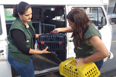 Itatiaia amplia programa de castração de animais