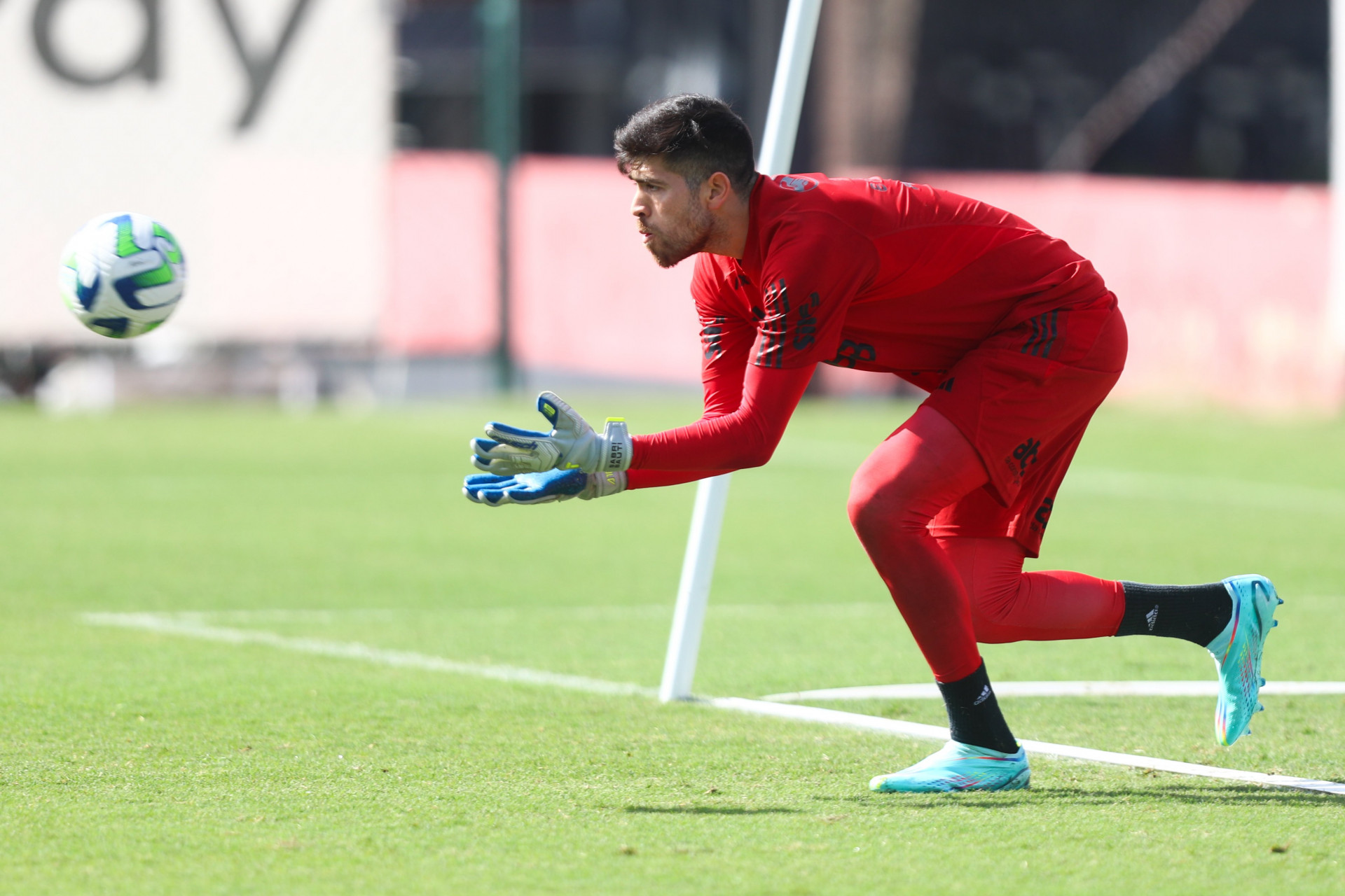 Luiz Araújo treina pela primeira vez como jogador do Flamengo