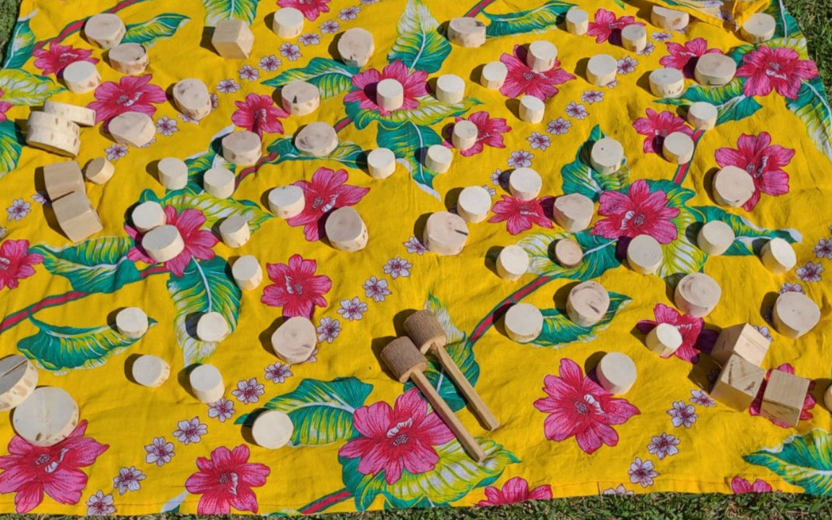 Semin&aacute;rio "A Natureza do Brincar"