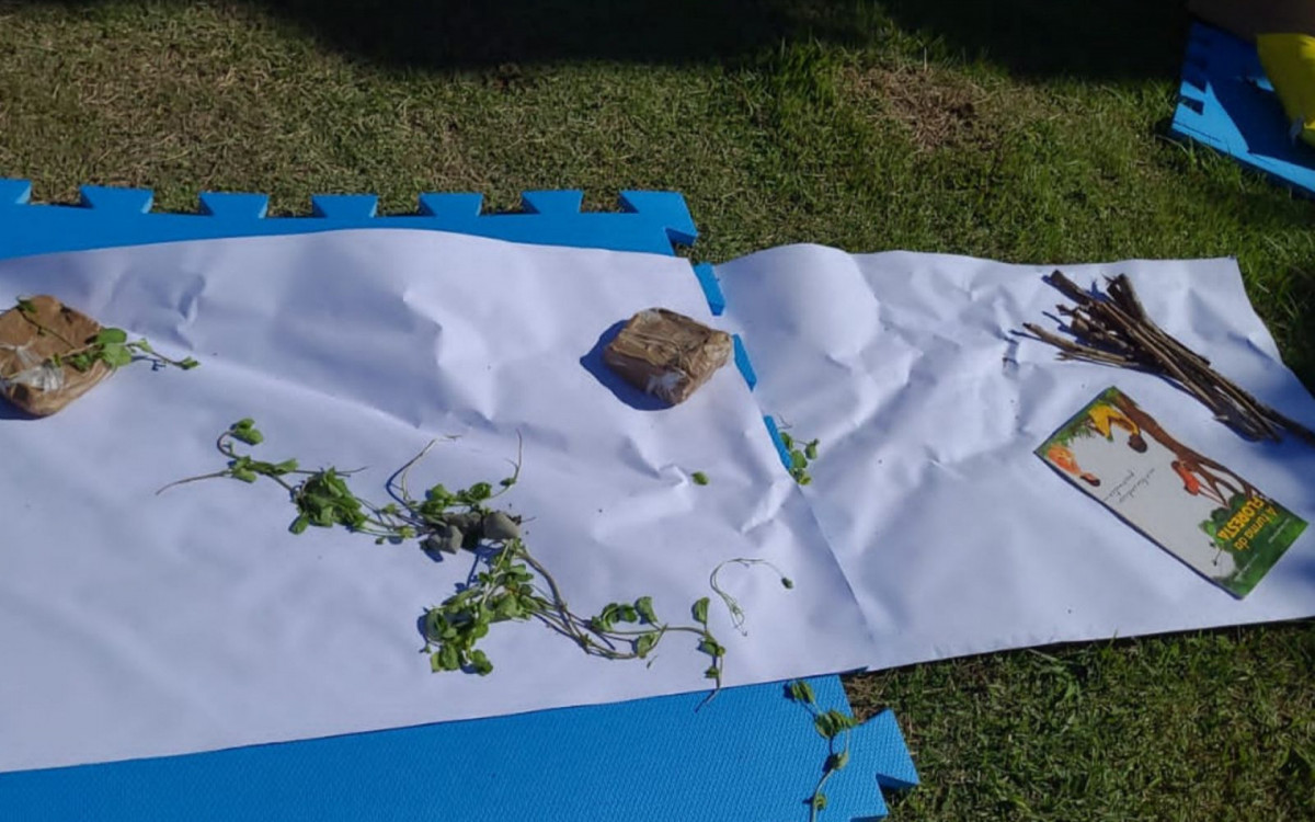 Semin&aacute;rio "A Natureza do Brincar"