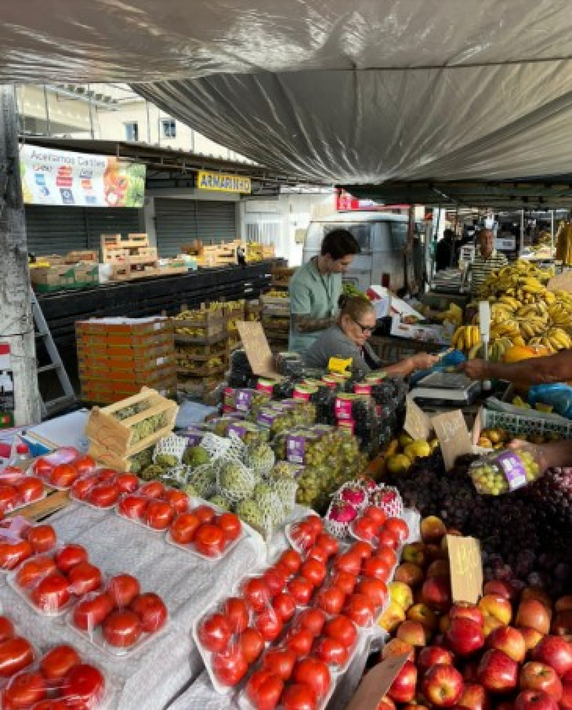 Prefeitura de Saquarema realiza a 11ª edição da Feira do Produtor Rural neste final de semana - Divulgação/Prefeitura de Saquarema