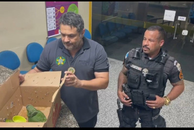 Policiais Militares prendem jovem suspeito de tráfico de animais silvestres em Paraty