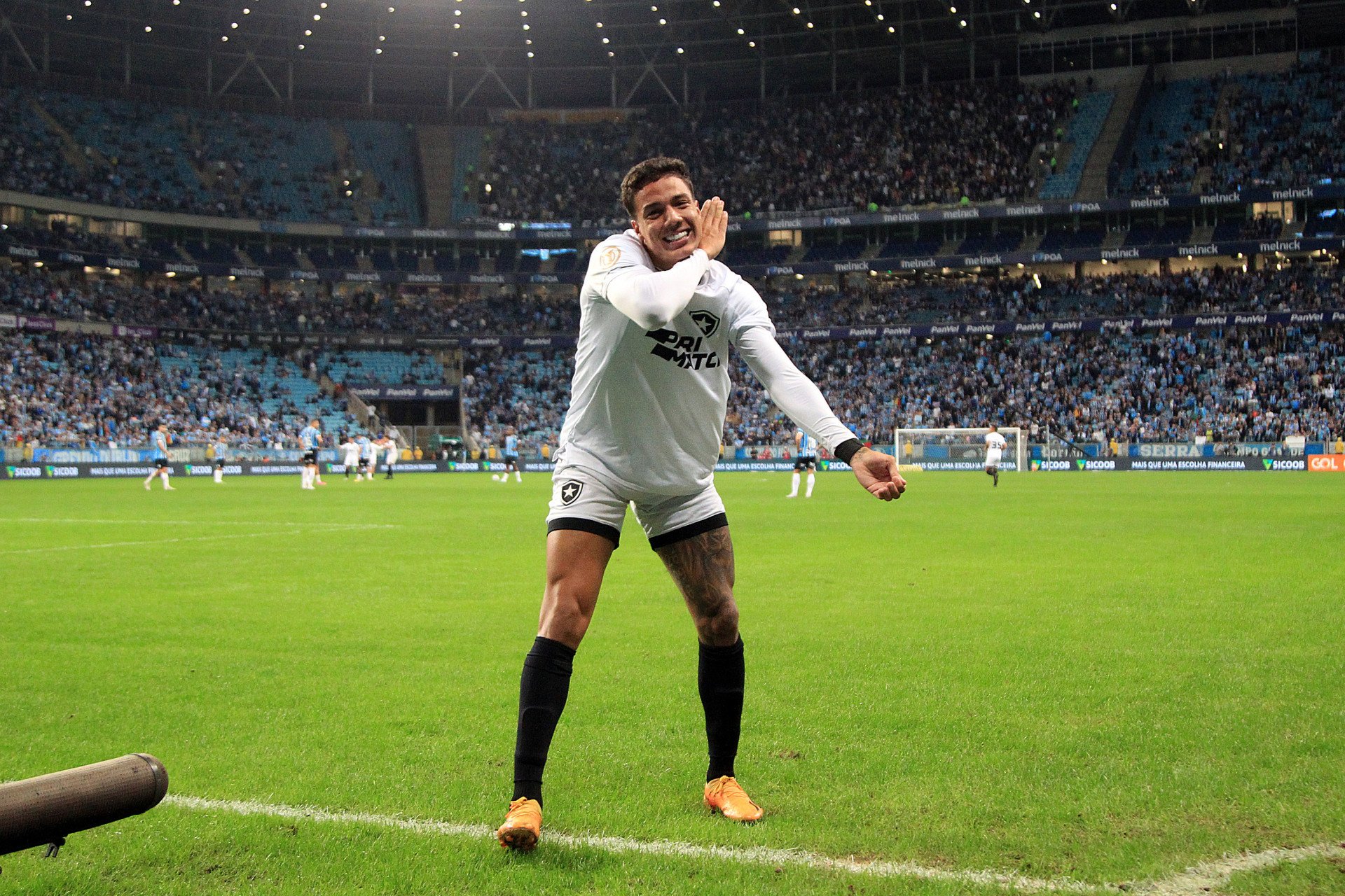 Carlos Alberto fechou o placar na vitória do Botafogo sobre o Grêmio - Foto: Vítor Silva/Botafogo