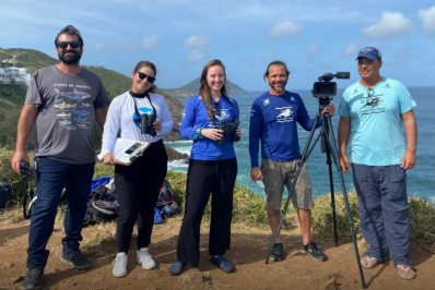 Baleias atraem pesquisadores para a cidade de Arraial do Cabo
