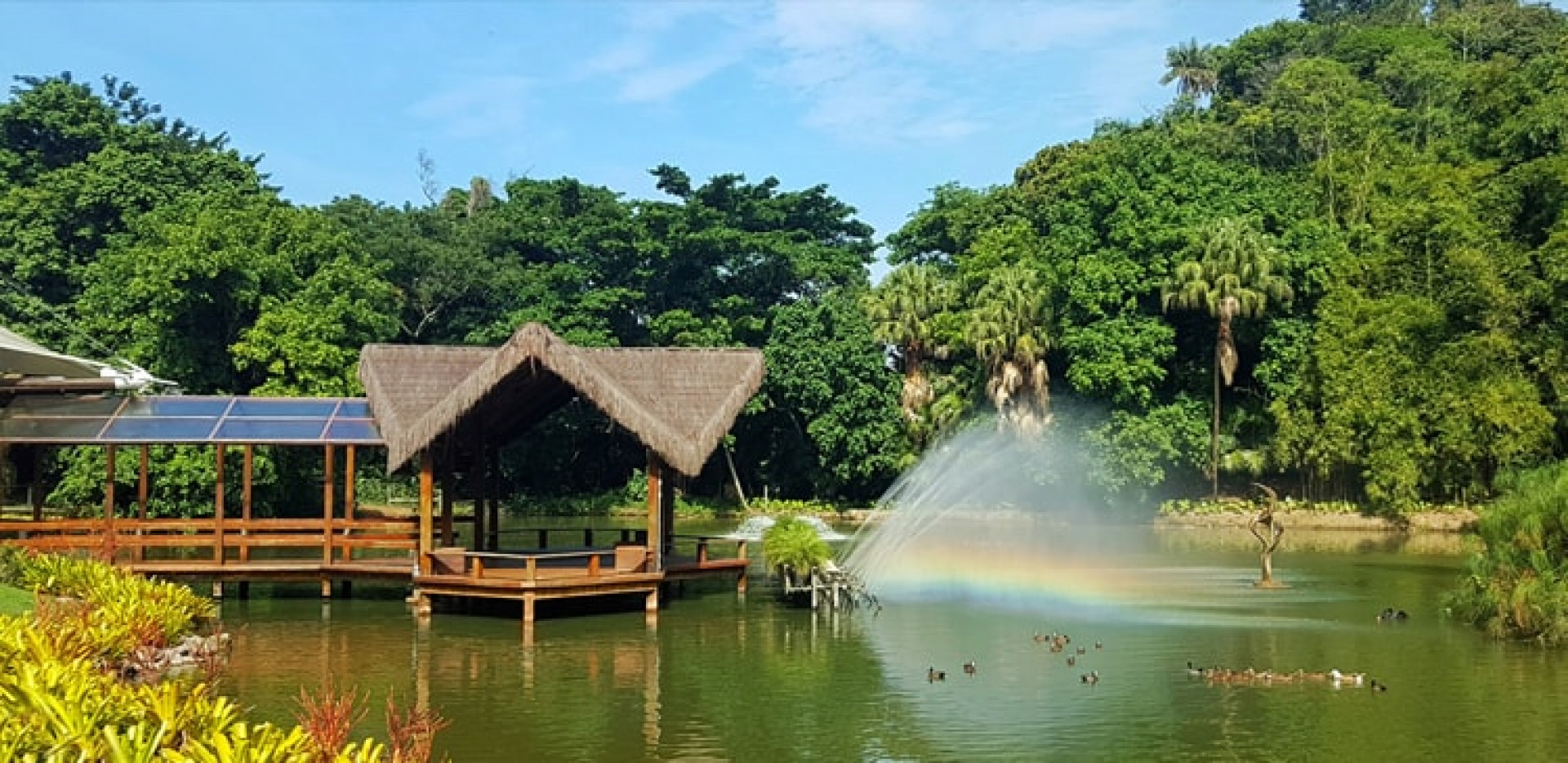 Vini Jr. - Foto reprodução Internet