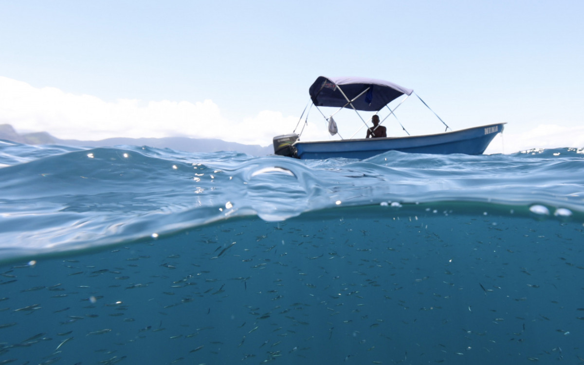 Barco Nina faz as expedições do projeto 'Águas Urbanas', que registra a flora e fauna marinha da Baía de Guanabara - Instituto Mar Urbano