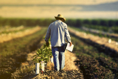 Sete de 10 atividades registraram demissões no trimestre até fevereiro, diz IBGE