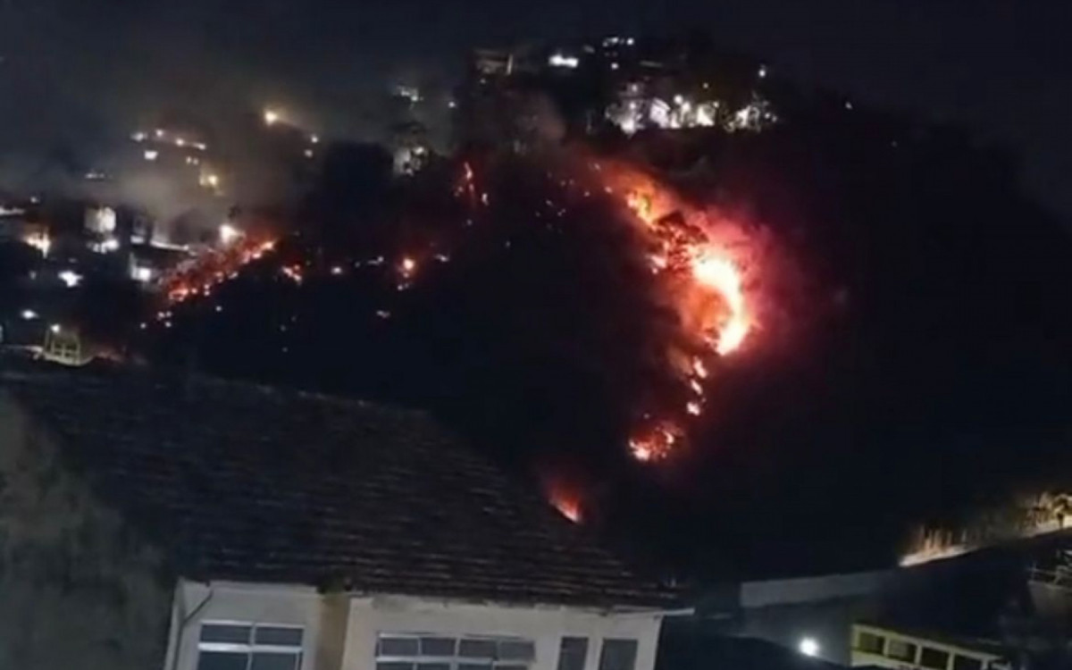 Chamas atingiram &aacute;rea de mata do Morro da Coroa, em Santa Teresa