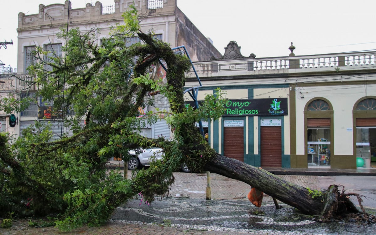 A passagem do ciclone extratropical pelo Rio Grande do Sul entre a noite de ontem (12) e a madrugada desta quinta- feira (13) causou estragos em 46 municípios, entre eles Pelotas. A cidade registrou quedas de árvores, alagamentos e destelhamento de casas e estruturas.
 
Foto: EDUARDO RODRIGUES/AGÊNCIA PIXEL PRESS/ESTADÃO CONTEÚDO
PXP20230713007 - 13/07/2023 -  - EDUARDO RODRIGUES/AGÊNCIA PIXEL PRESS/ESTADÃO CONTEÚDO