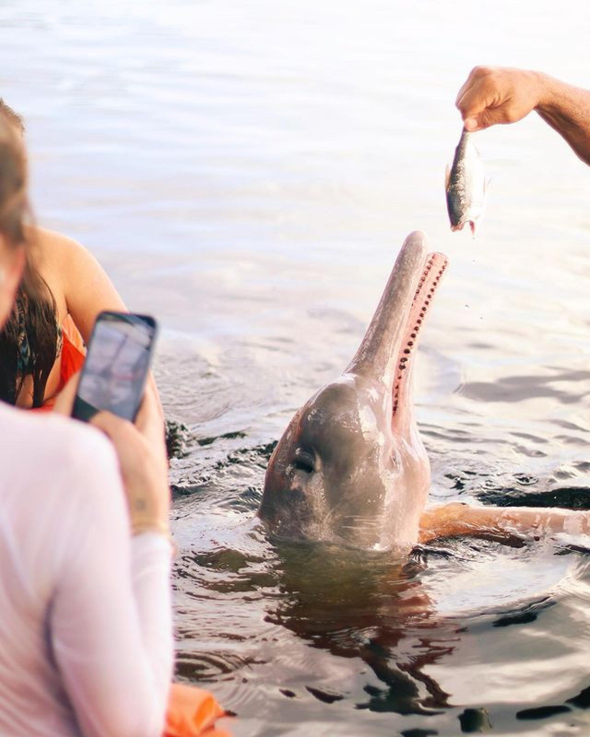 Luciana Gimenez em viagem para o Amazonas - Reprodução/Instagram