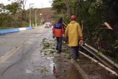 Tragédia causada por ventos fortes resulta na morte de idoso na Região Serrana