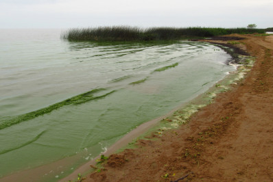Defesa Civil de Rio Grande monitora Lagoa dos Patos