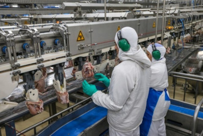 Produção agroindustrial tem alta de 0,6% em maio, aponta FGV